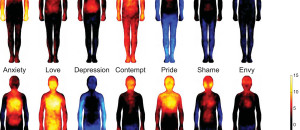 Affects of yoga on the body