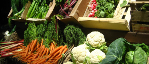 Vegetables holistic health