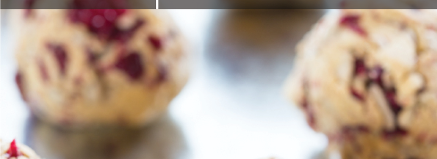 protein ball recipes