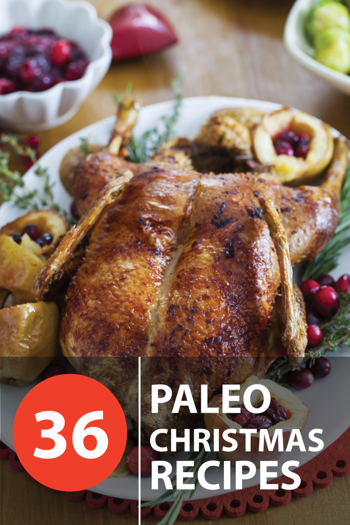 Paleo christmas recipes 2